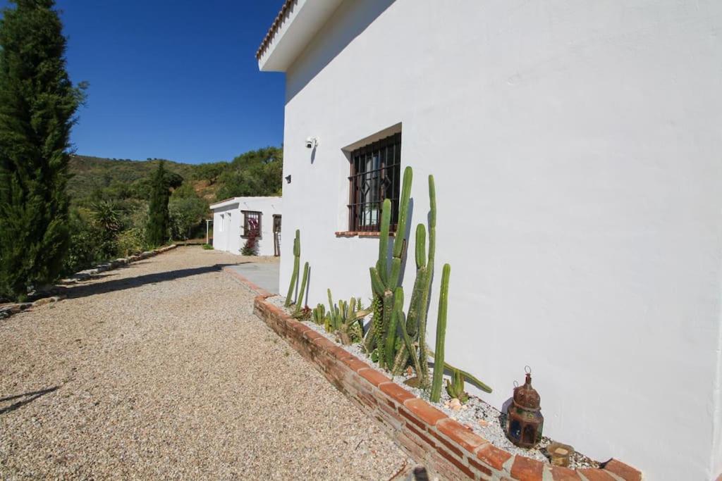 Casa Cactus In The Heart Of The Montes De