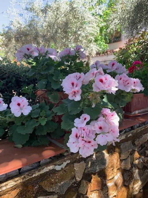 Holiday home Casa Cactus In The Heart Of The Montes De