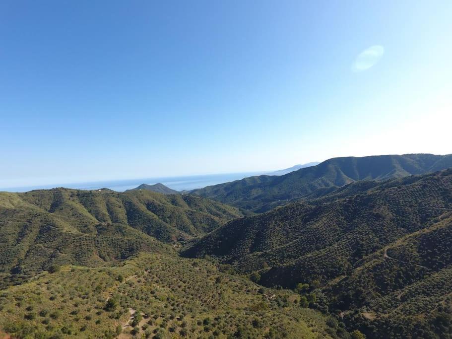 Casa Cactus In The Heart Of The Montes De * Malaga