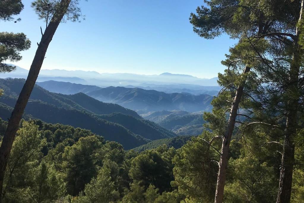 Casa Cactus In The Heart Of The Montes De *